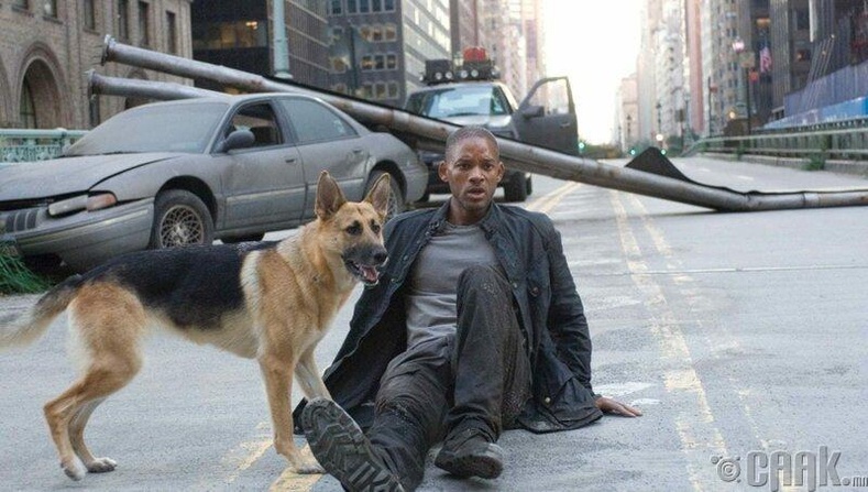 "I am Legend" (2007)