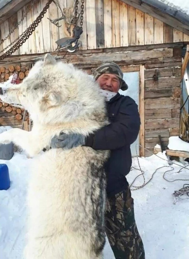 Ан гөрөө, аж ахуй хахир хүйтнийг эс харгалзан үргэлжилсээр байна