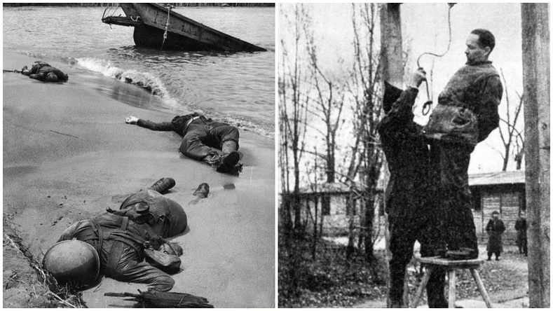 Дэлхийн II дайны үнэн төрхийг харуулсан ховор зургууд
