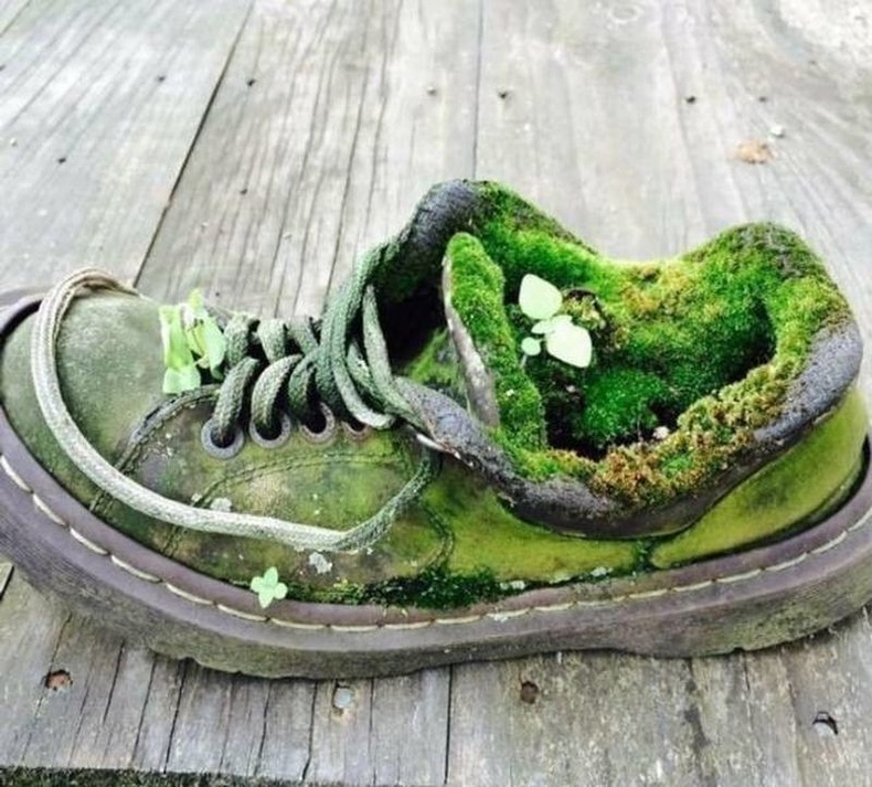 Байгальд дийлдсэн өрөөсөн гутал