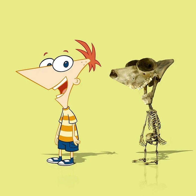 "Phineas and Ferb" анимейшний Финеасийн араг яс