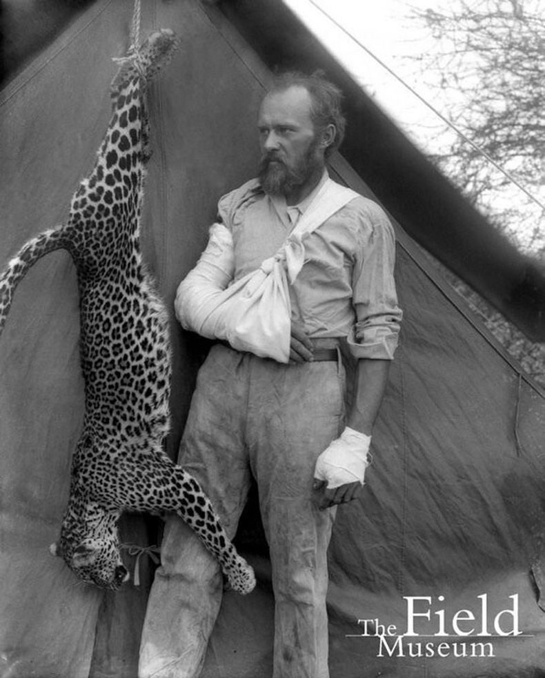 Алдарт амьтан судлаач Карл Айкли (Karl Aikley) нэг гараараа хөнөөсөн ирвэсийн хамт - 1896 он
