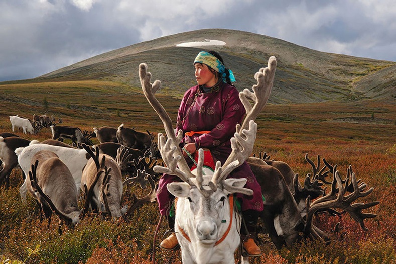 Монголын цаатангуудын амьдрал