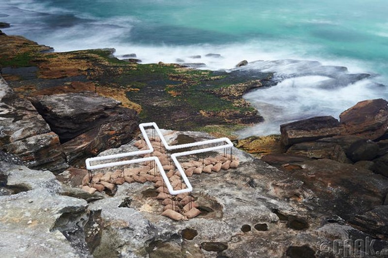Бонди далайн эргийн үзэсгэлэнд зориулж уран барималч Венди Тикел (Wendy Teakel)-ийн бүтээсэн "Land: Place: Site" баримал