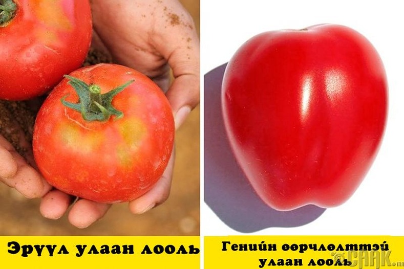 Үзэмжийг нь харах