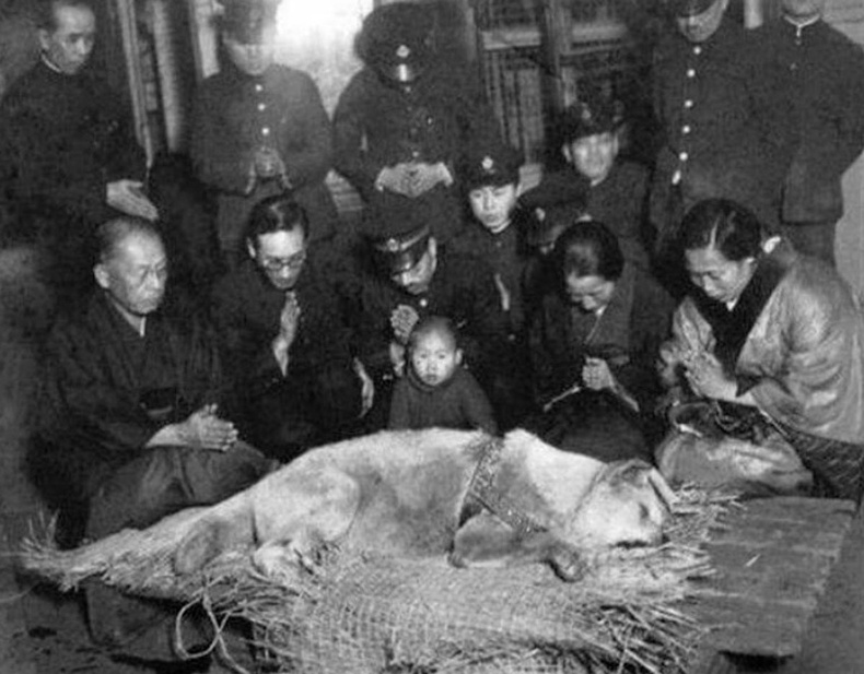 Хамгийн үнэнч нохой Хачикогийн оршуулга, 1935 он