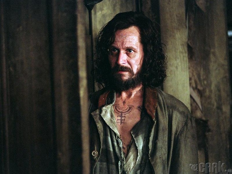 Сириус Блэк (Sirius Black), "Harry Potter"