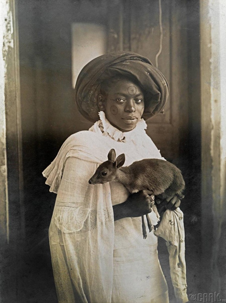 Янзага тэвэрч буй Кени бүсгүй, Момбасса 1909 он