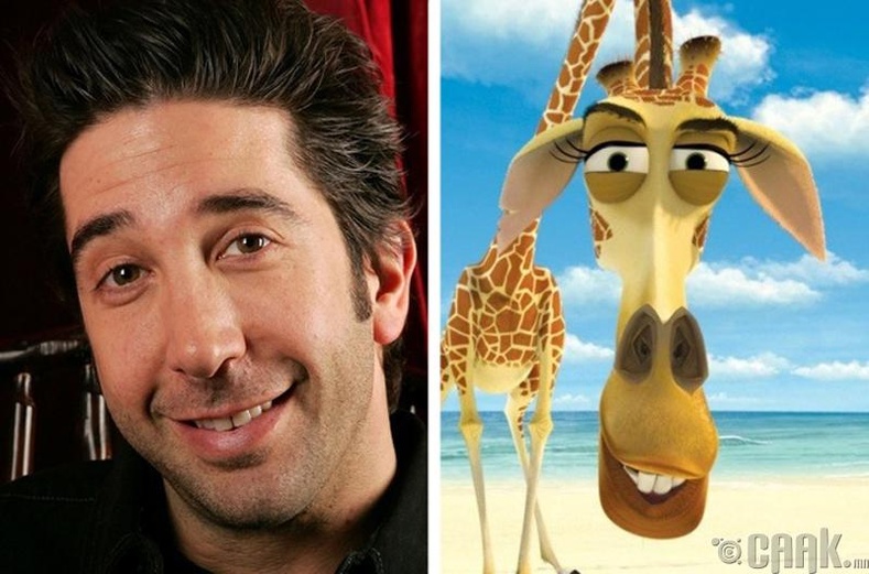 Дэвид Швиммер  (David Schwimmer)  -  Melman,  "Madagascar"