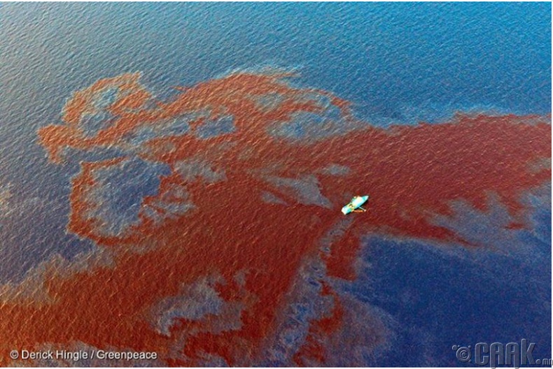 Мексикийн хойгт асгарсан газрын тос