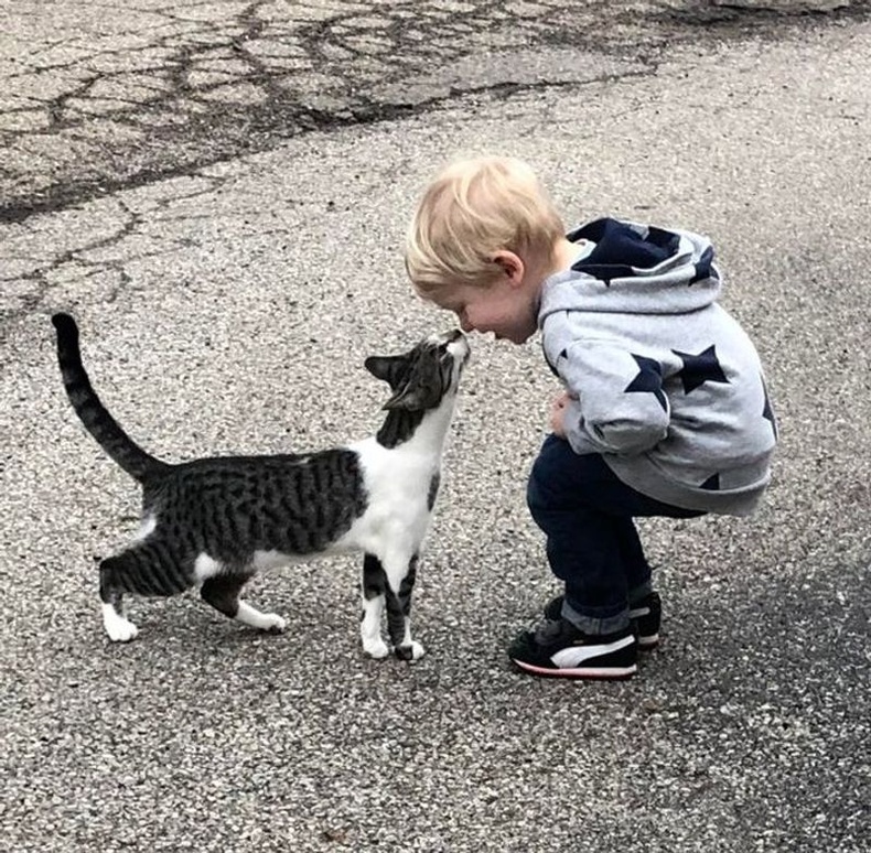 "Гудамжны муур гэнэт хүрч ирээд хүүтэй маань мэндлэв"