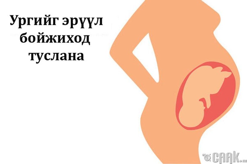 Жирэмсэн эхийг эрүүл амаржихад тусална