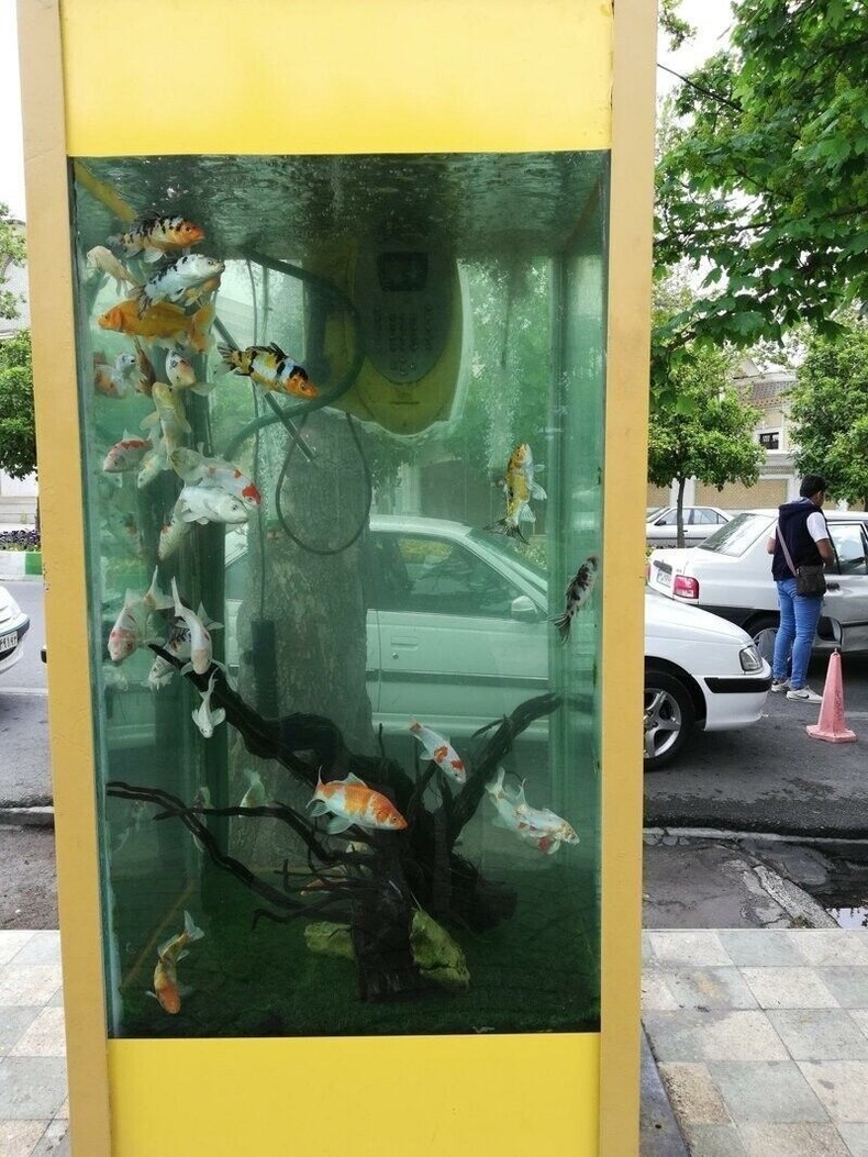 Японд хуучин утасны бүхээгийг аквариум болгосон байгаа нь
