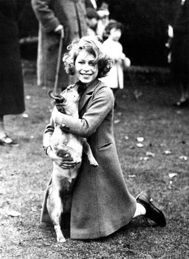 Хатан хаан II Элизабет 10 настай байх үедээ тус зургийг татуулжээ. 1936 он