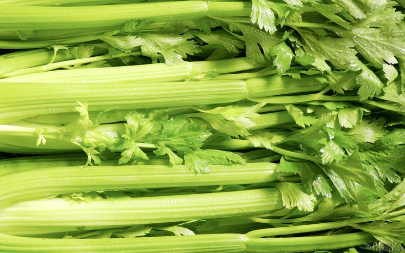 Цоохор майлз /Celery/