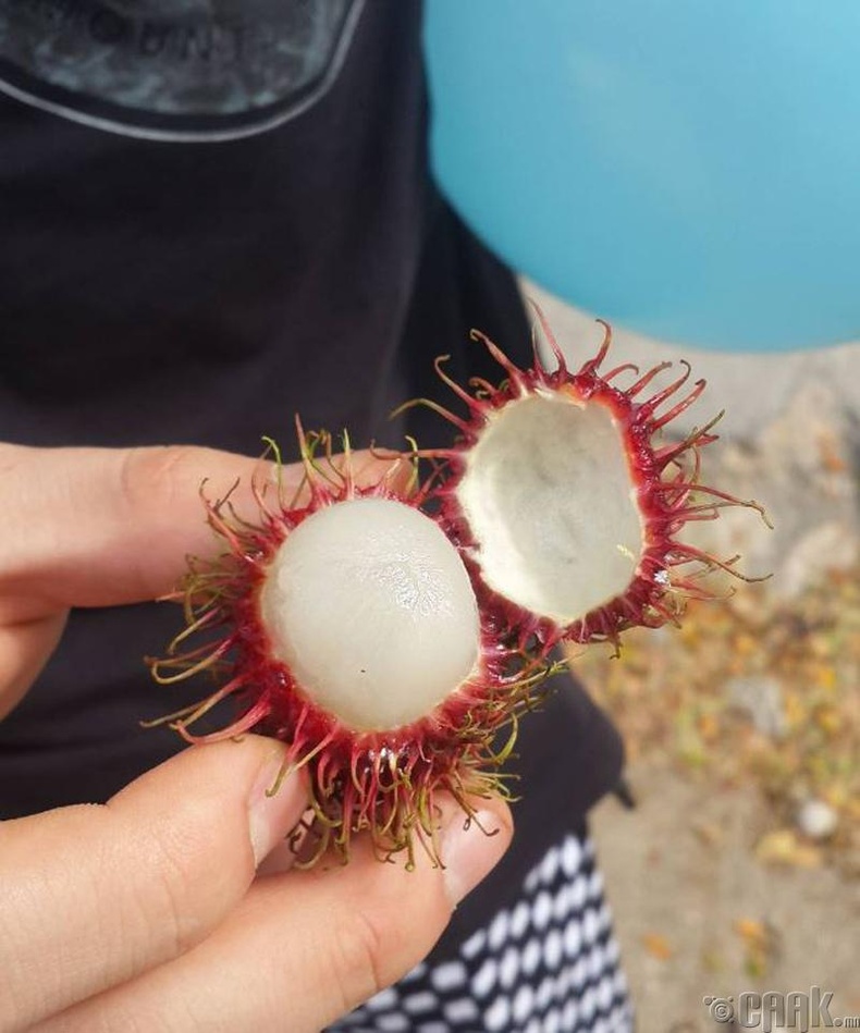 "Rambutan" - Зүүн Өмнөд Ази