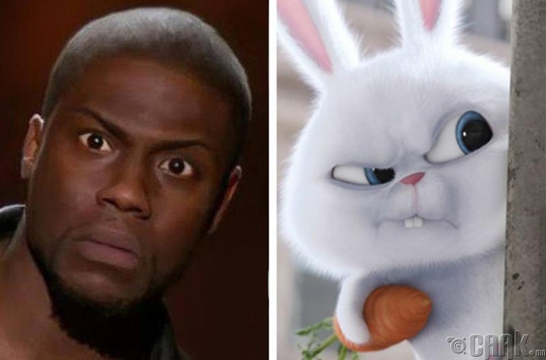 Кевин Харт (Kevin Hart) -  Snowball, "The Secret Life of Pets"