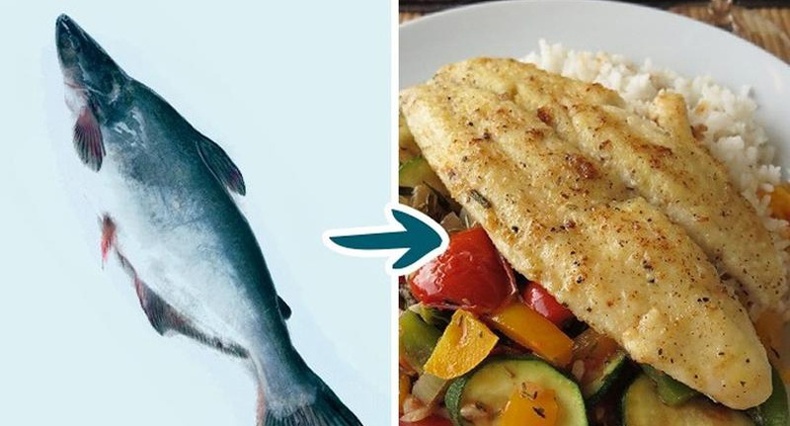 Ямар загасаар хоол хийхэд тохиромжтой байдаг вэ?