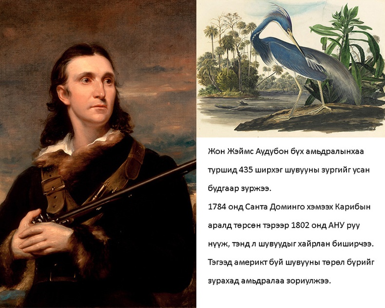 Жон Жэймс Аудубон (John James Audubon)