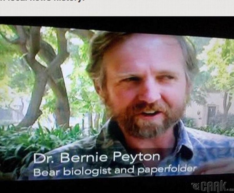 Доктор Берни Пейтон, баавгайн биологич болон цаас нугалагч