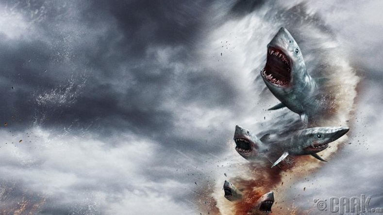 "Sharknado"