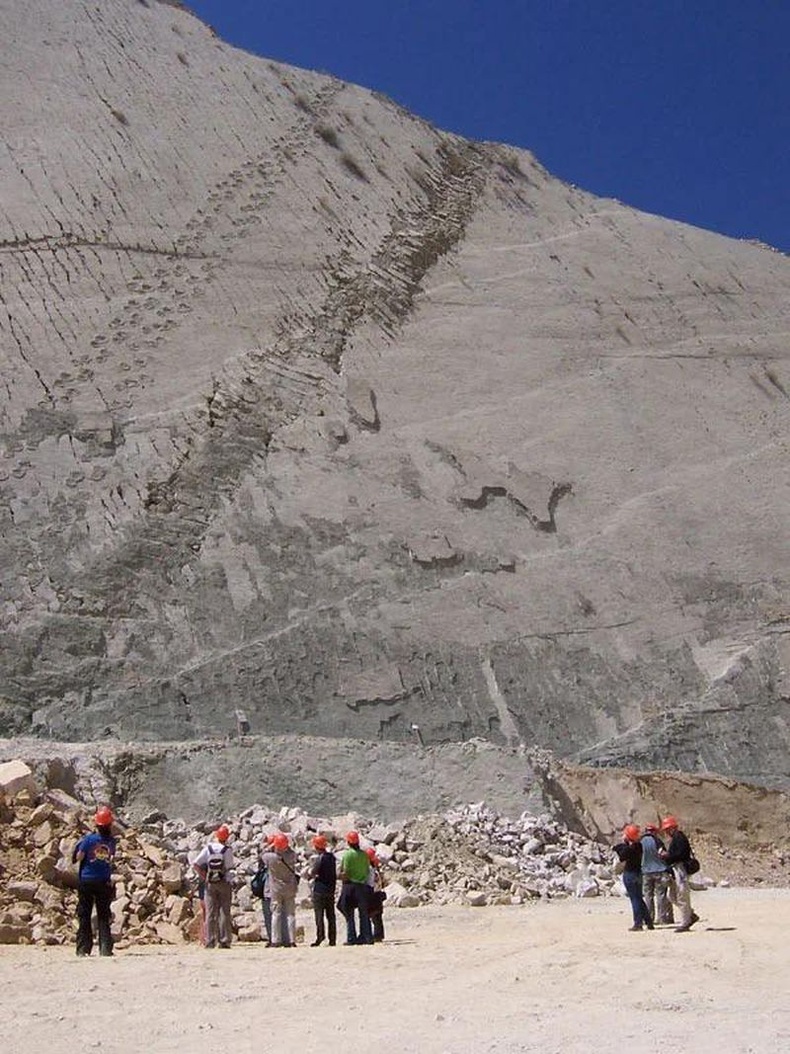 Боливийн Кал Орко хэмээх шохойн чулуун цохио дээр үлдсэн 68 сая жилийн настай үлэг гүрвэлийн мөр.