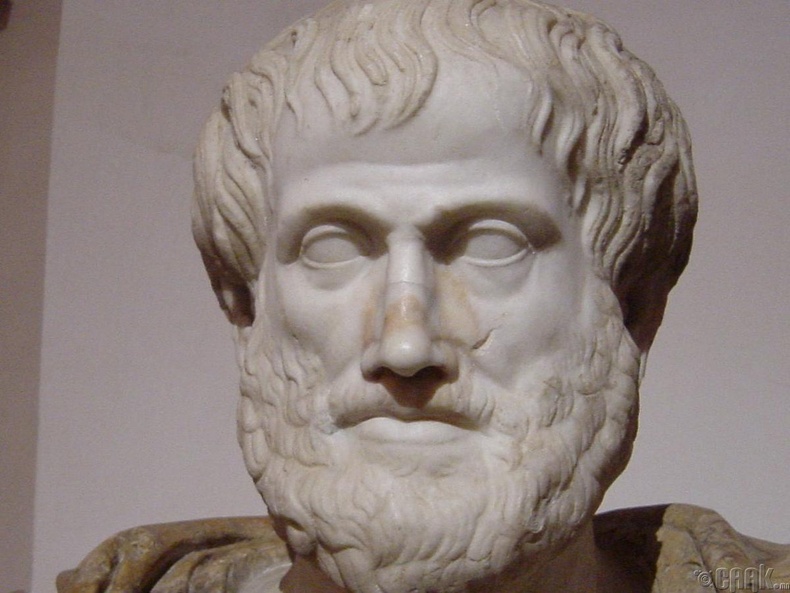 Аристотель (Aristotle)