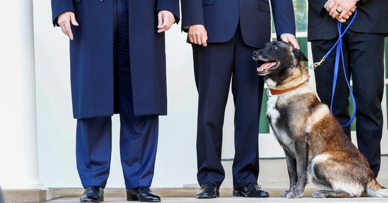 Цагаан ордонд зочилж, Трамптай уулзсан "баатар" нохой