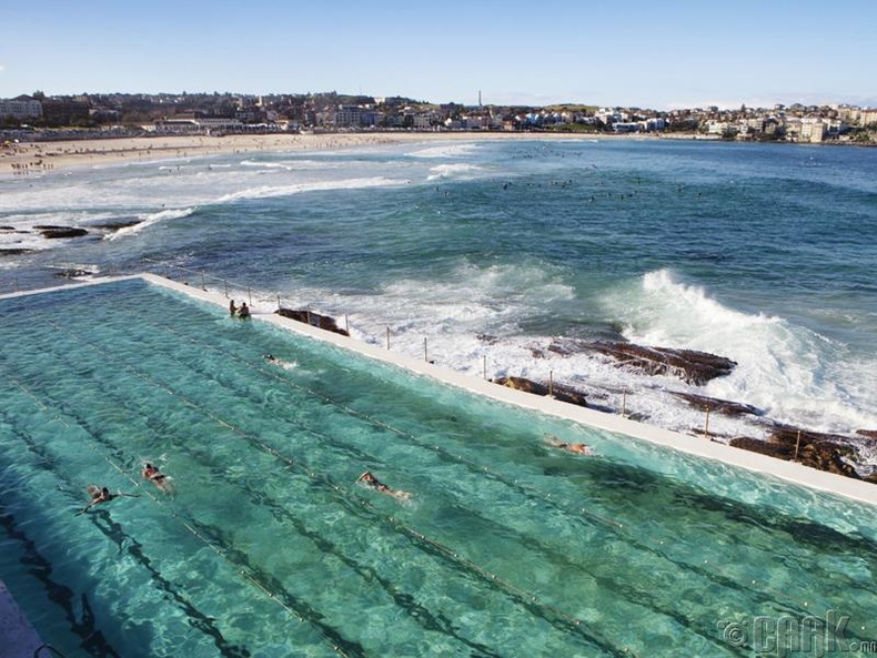 "Bondi Icebergs Club", Австрали