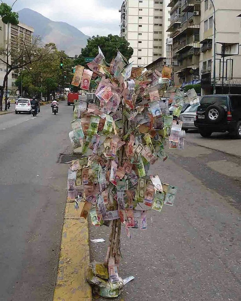 Каракасын гудамжинд тааралдах "Мөнгөний мод"