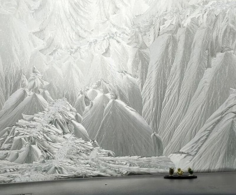 Мөсөн уул гэж андуурсан уу? Машины шилэн дээр тогтсон цан ийм гайхалтай дүрс үүсгэжээ.