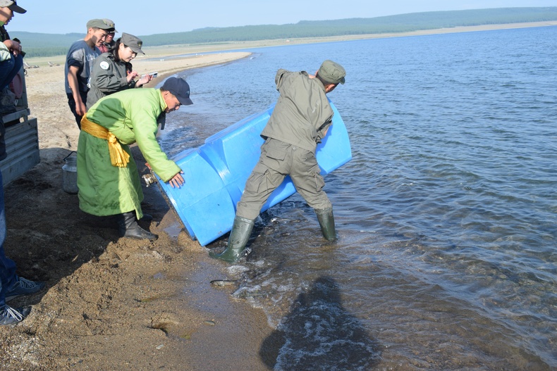 Анх удаа авч хэрэгжүүлсэн Биотехникийн арга хэмжээ