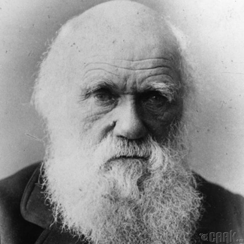 Чарльз Дарвин (Charles Darwin)