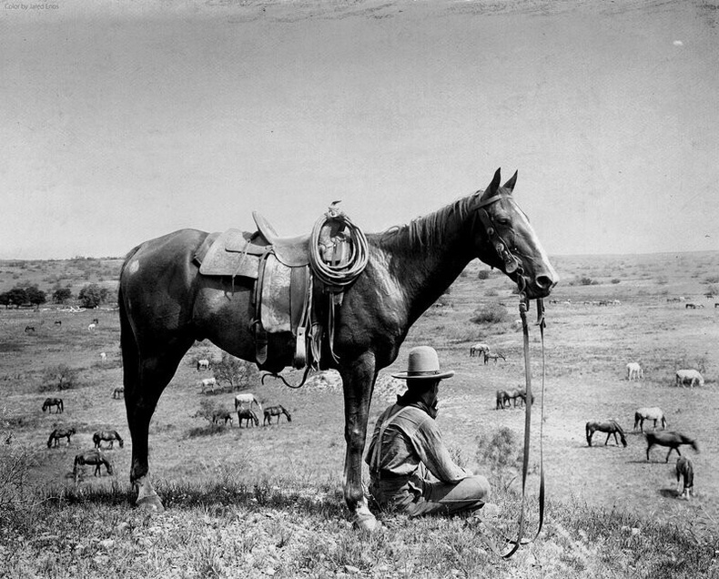 Зэрлэг өрнөдийн сүүлчийн ковбой нарын нэг. Техас муж, 1910 он.