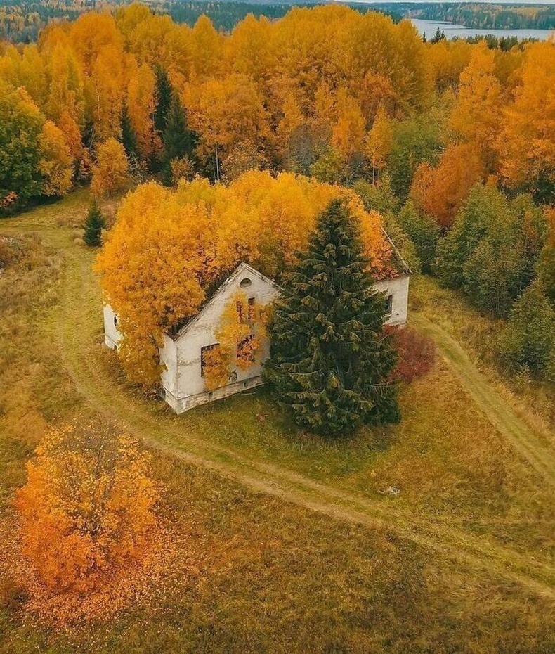 Карелийн БНУ-ын нутаг дахь хаягдсан байшин, Орос