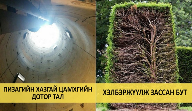 Ердийн зүйлсийг ер бусын өнцгөөс харвал...