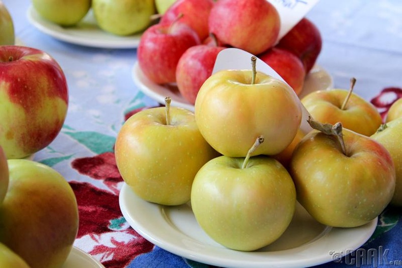 Яблоко после еды можно. Яблоки источник энергии. 9 Яблок. Девять яблок или Яблоков. Нужно 9 яблок.