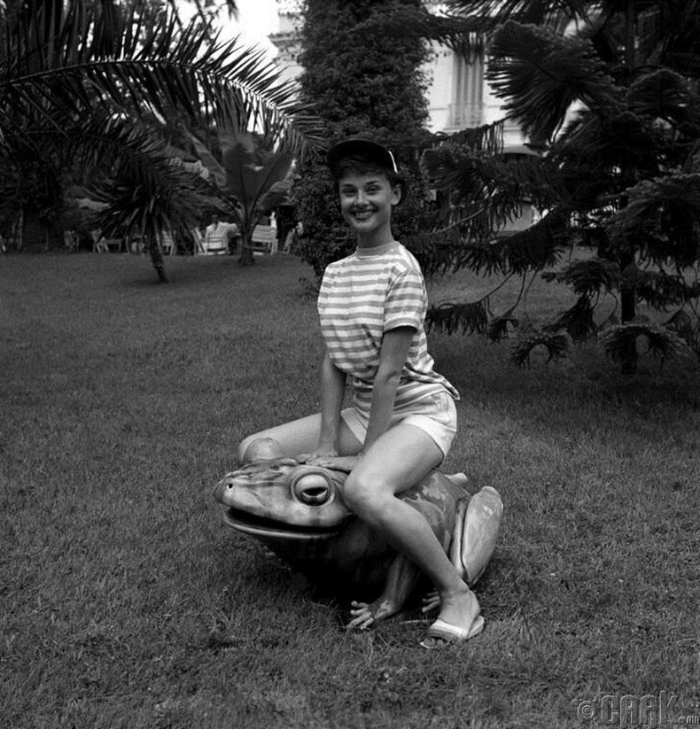 Аудри Хепбурн, 1960-аад онд. /Audrey Hepburn/