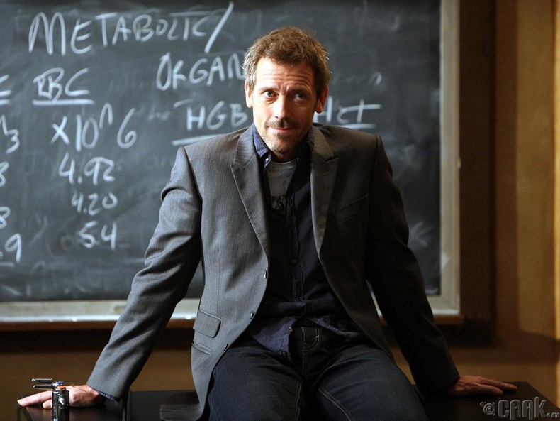 Доктор Грегори Хаус (Dr. Gregory House), "House"