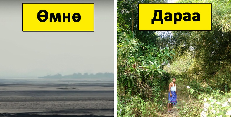 Элсэн цөлийг ой болгосон Энэтхэг залуу