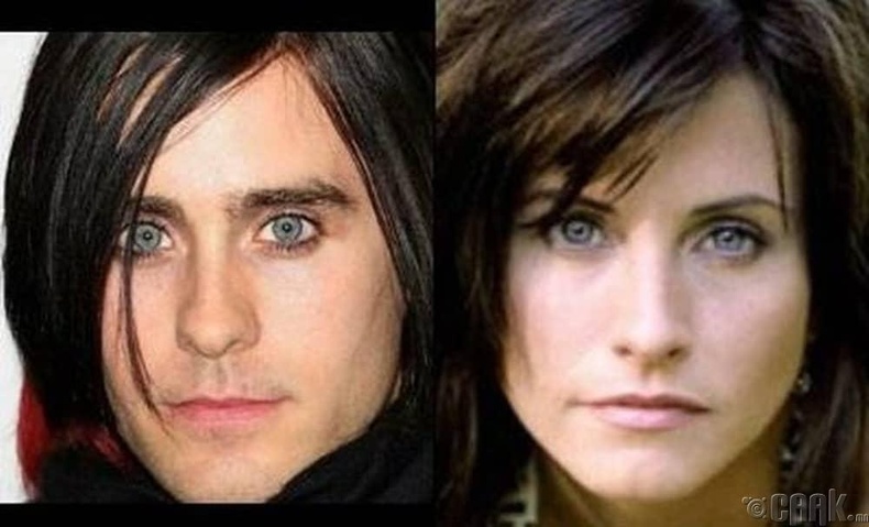 Кортни Кокс (Courteney Cox), Jared Leto (Jared Leto)