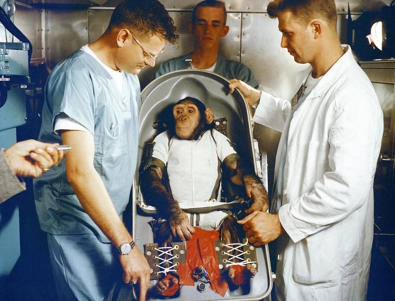 1961 он: Хам нэртэй шимпанзе сансарт гарсан хойноо модуль дээр ажилласан анхны амьтан болжээ
