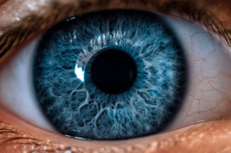 Эмч нар нүдний торлог бүрхэвчийг ажиглан хүний амьдрах хугацааг тодорхойлох боломжтой гэдгийг тогтоожээ