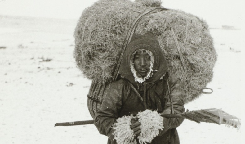 Швед санваартны 1913 онд Монголд ирэхдээ авсан сонирхолтой зургууд