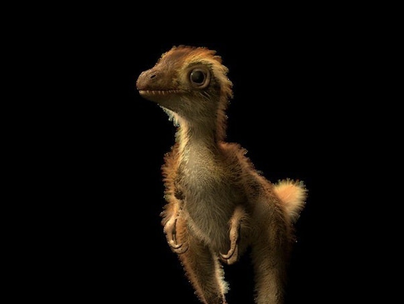 Тираннозавр Рекс үлэг гүрвэлийн зулзага ийм харагддаг байжээ