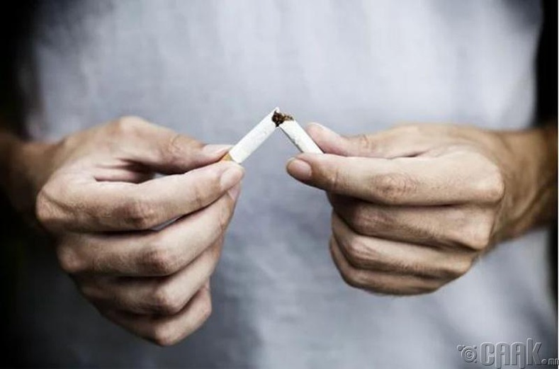 Тамхи таталт болон биеийн жин