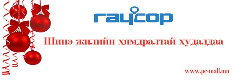 Шинэ жилийн шилдэг бэлэг RAYCOP