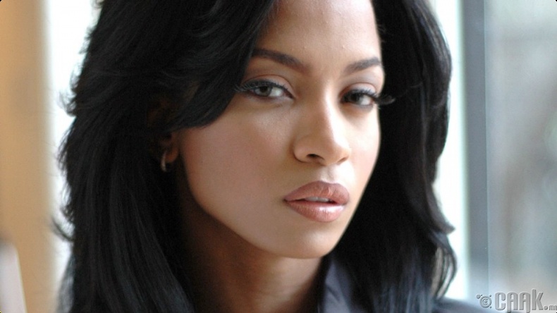 Каррине Стеффанс (Karrine Steffans)