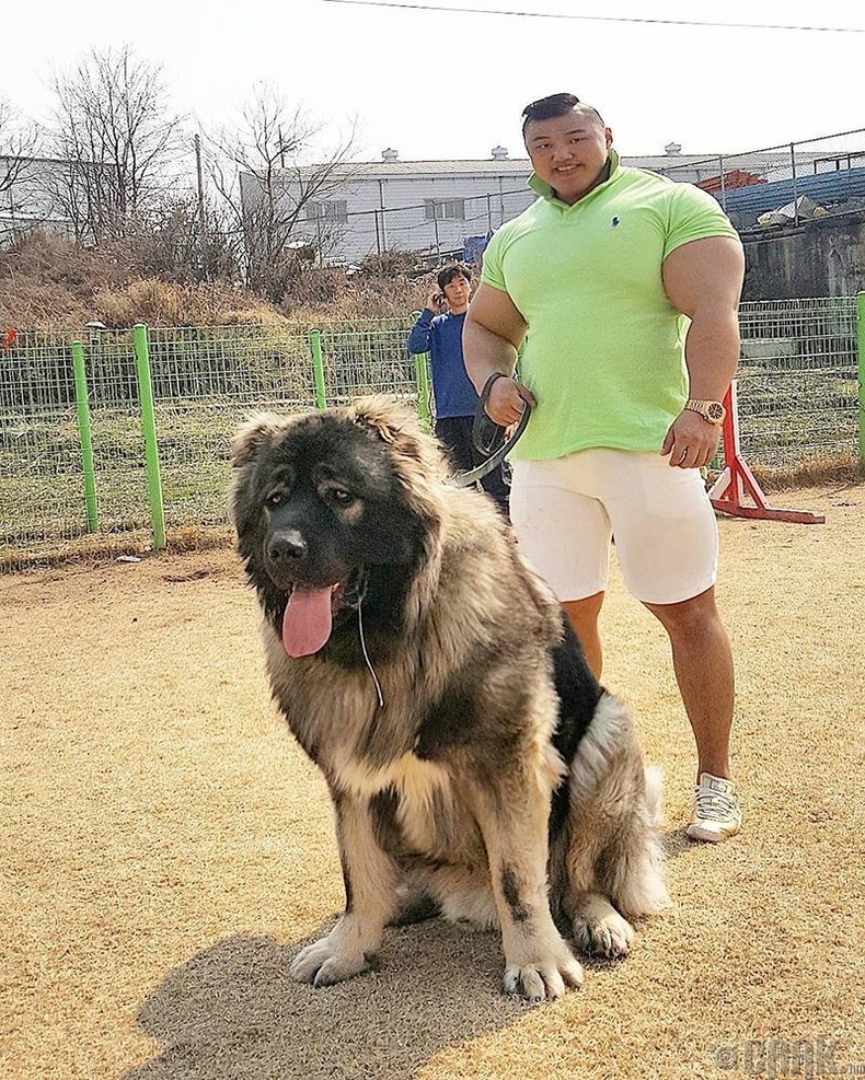 Түүний нохой бараг л өөр шиг нь том