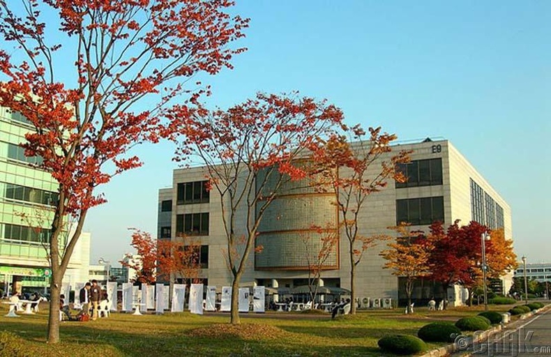 Солонгосын шинжлэх ухаан, технологийн дээд институт (KAIST)